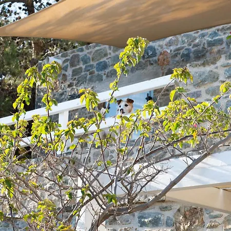 Aqua Blu Syros 2,4 Apartment *